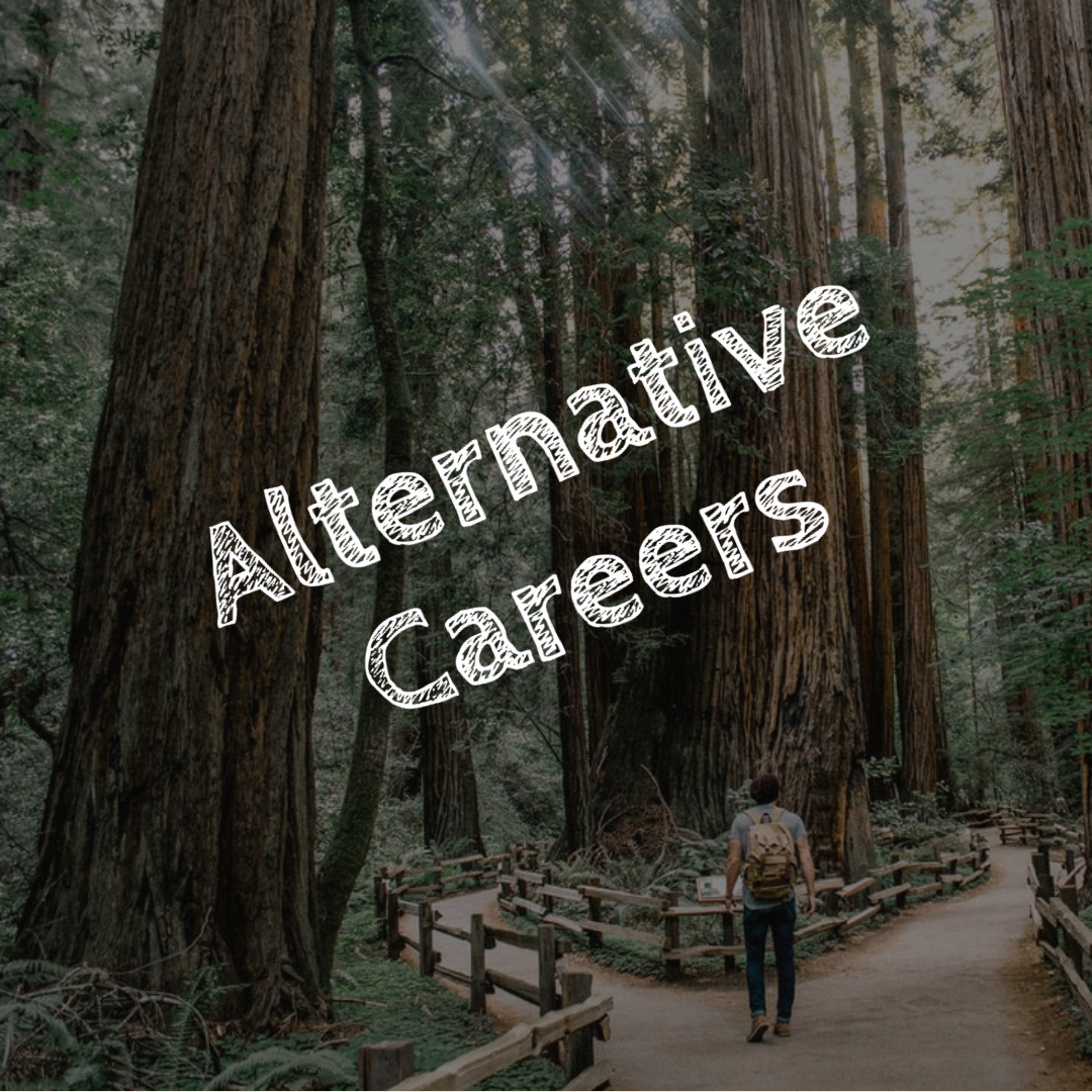 Alternative Careers