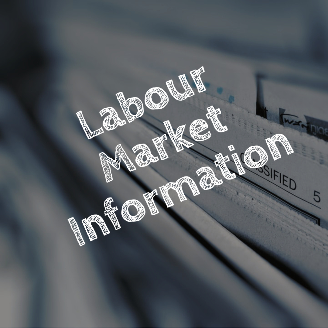 Labour Market Information Copy 2